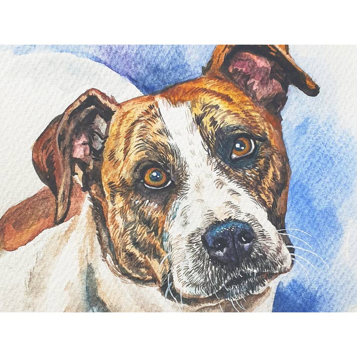 PETPO - Venta al por mayor Pintura/dibujo - Retrato personalizado de mascotas en acuarela, retratos de perros a partir de fotos