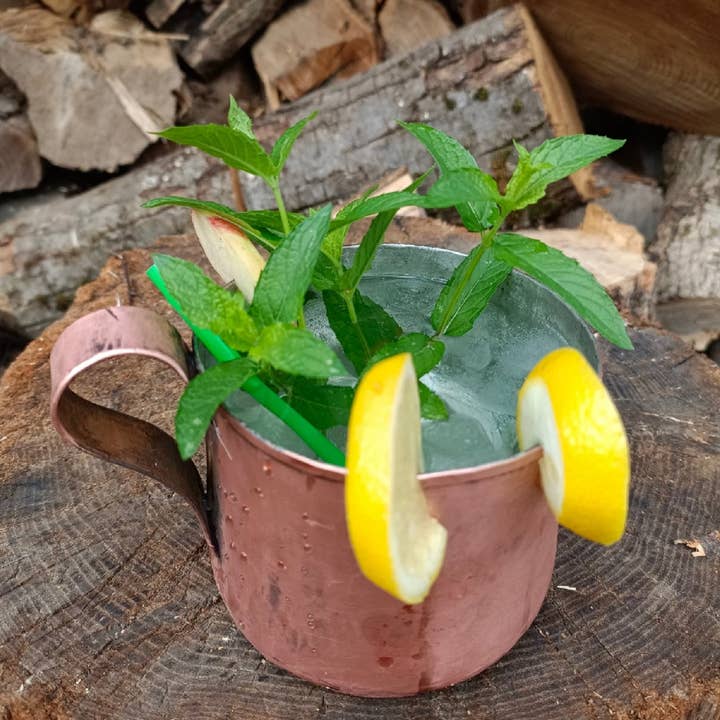 Taza de cobre con revestimiento de estaño – Ideal para cócteles y café para venta al por mayor de La Casa del rame