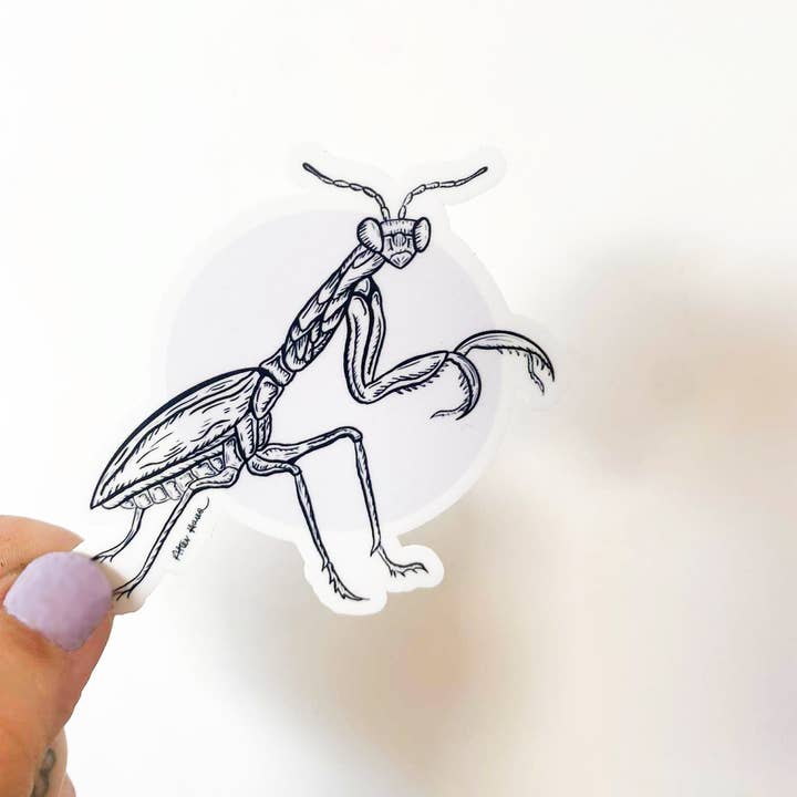 After Hours Creative - Venta al por mayor Pegatina - Pegatina Mantis Rezando0