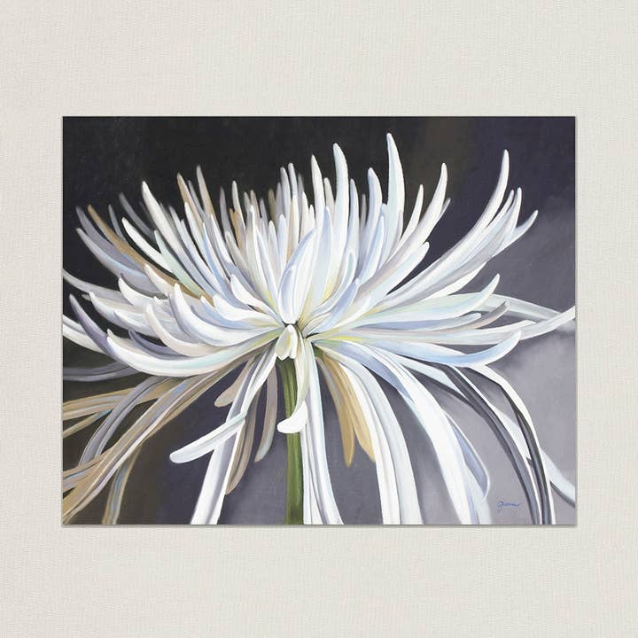 Life of the Party for wholesale by Graviss Studios