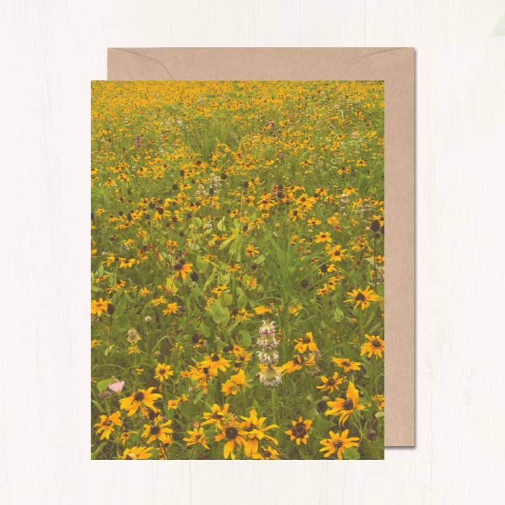 Veld van daisies- Wildflower Story Card voor wholesale door Wild and Wandering co.