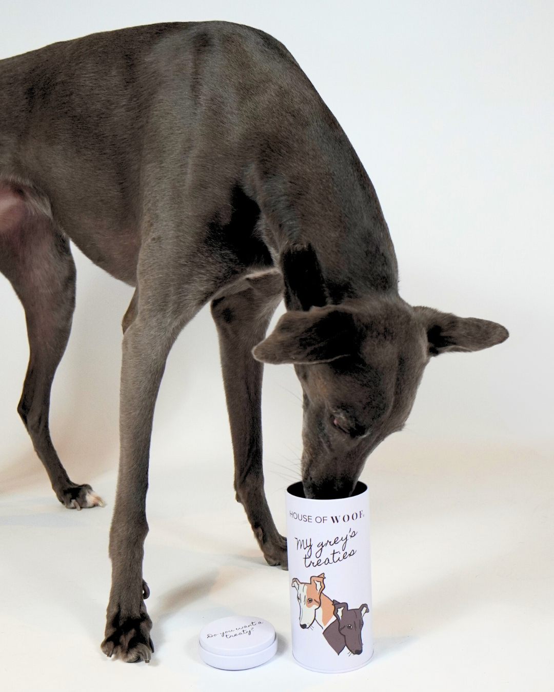 House of Woof – Großhandel Leckerliglas – Hund – Leckerbissen6