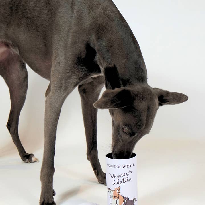 House of Woof - Wholesale Pet Treat Jar - Dog - Treat Tins7