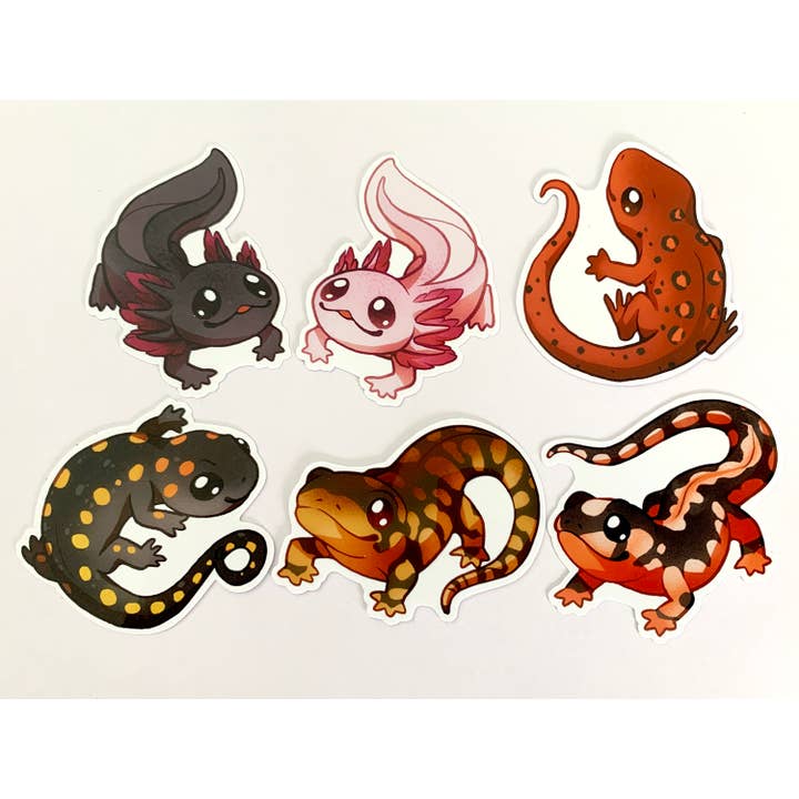 Set di Adesivi con Anfibi per la vendita all'ingrosso da parte di ShinePaw Design