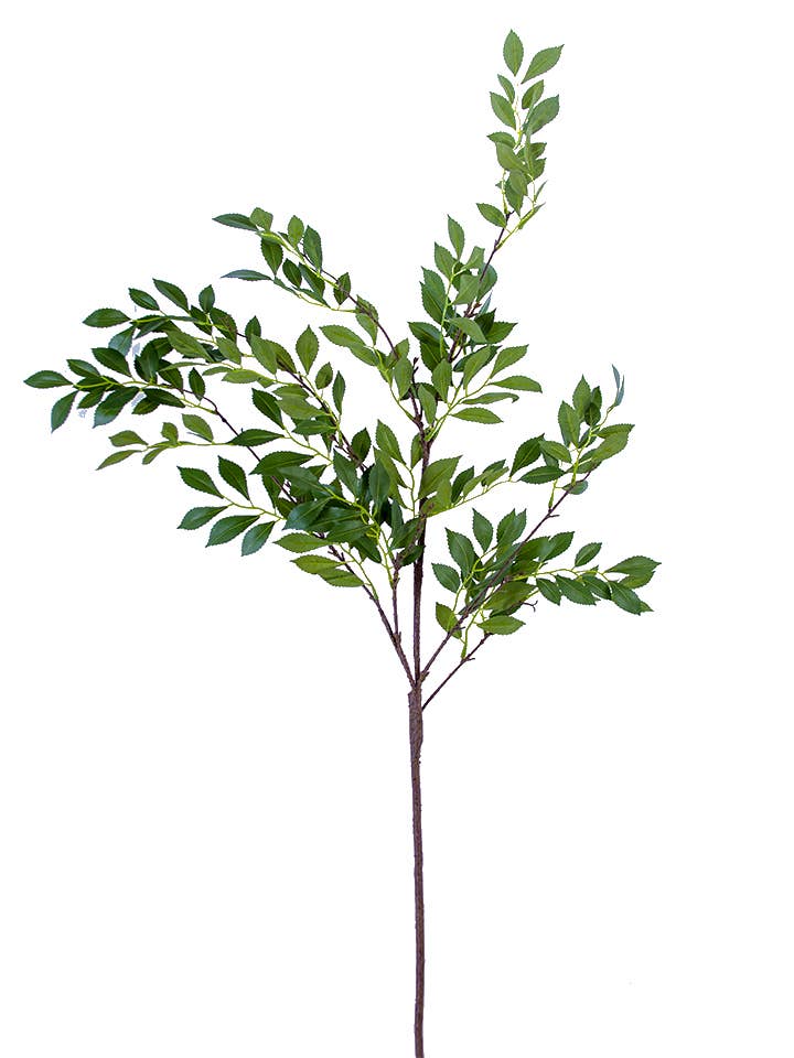 Branche de feuilles de jasmin d'hiver de 51" pour la vente par American Best