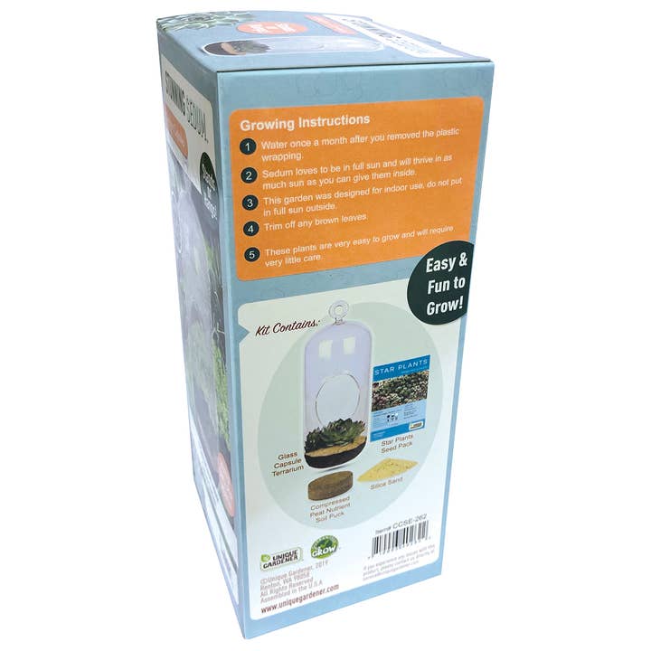 Silver Circle Products - Wholesale Terrarium - Stunning Sedum Carefree Capsule Glass Terrarium