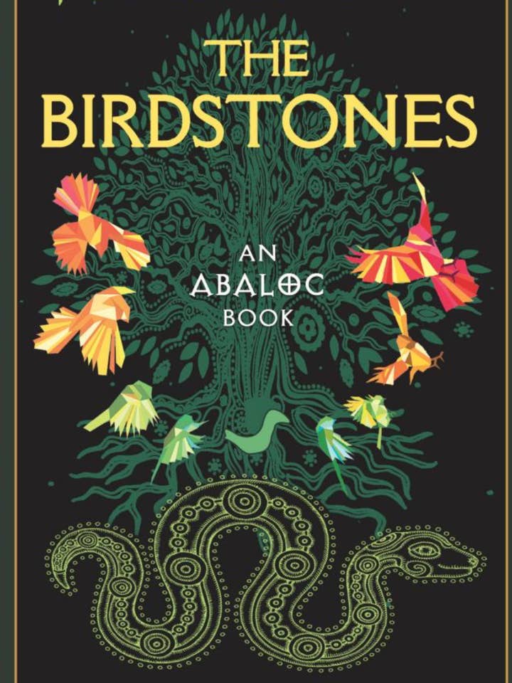 Fantasy per bambini: Le Pietre degli Uccelli per la vendita all'ingrosso da parte di Anamchara Books