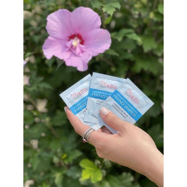 Maxim Hygiene Products - Wholesale Gezichts- en lichaamsdoekjes - Maxim® Antibacteriële Desinfectiedoekjes, Individueel Verpakt, 20 stuks2