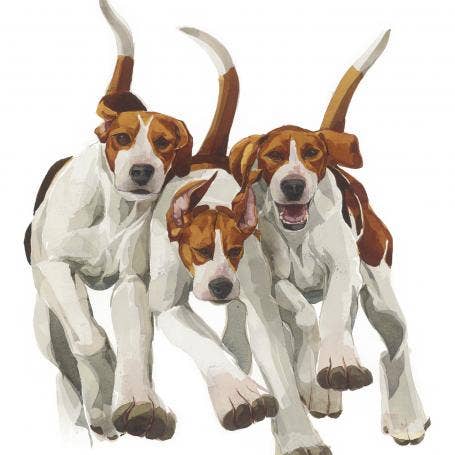 Jostle Limited Edition Print Pd04 for wholesale by Mary Ann Rogers Gallery