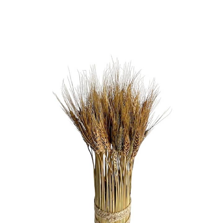 Round Wheat Grass Bunch Natural H 15.7" for wholesale on Faire0