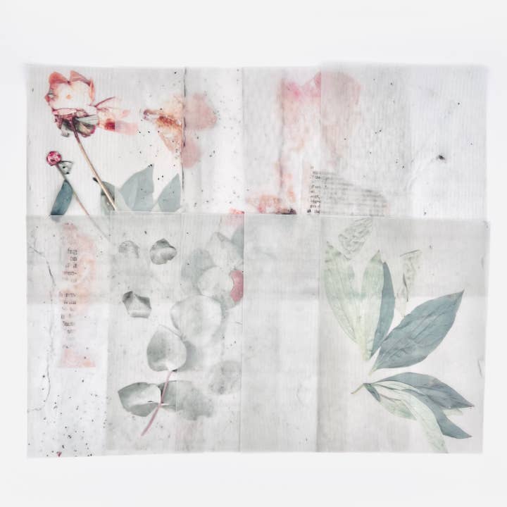HELLO ARTIST DIY - Wholesale Craft Supplies - Transparent Papers – Botanical Series1