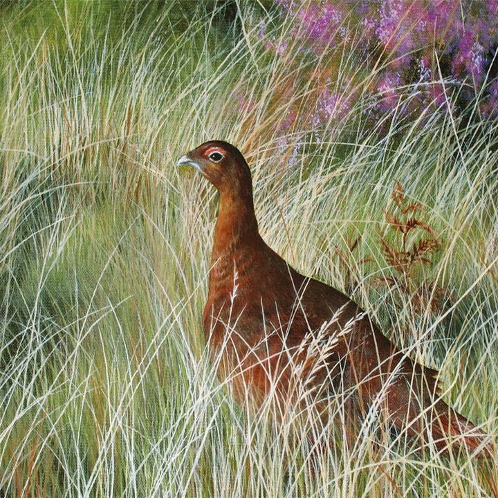 Grußkarte Rotschopf für den Großhandel von Natural Partners Limited