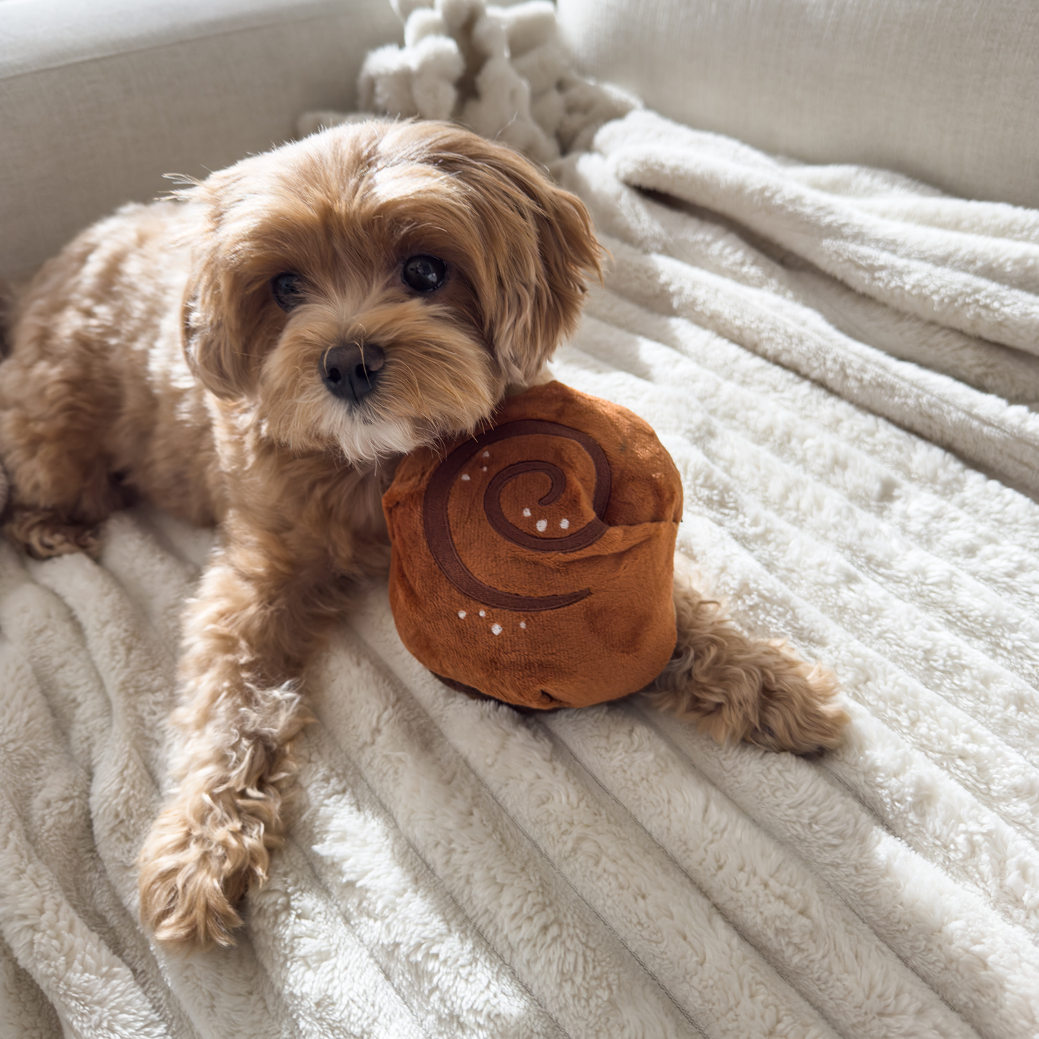 CHEWFFON - Vente Jouet couineur – chien - Jouet couineur à renifler en forme de roulé à la cannelle CHEWFFON5