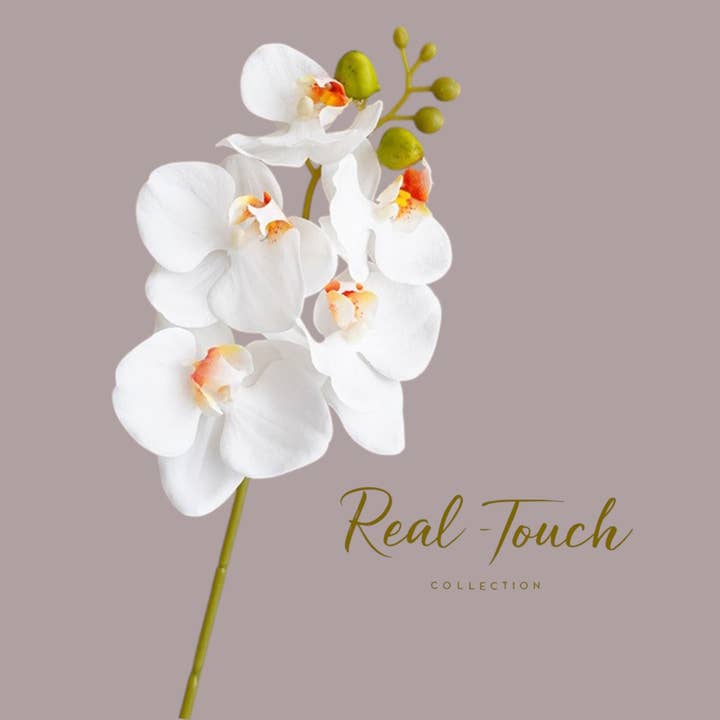 Angel Isabella - Wholesale Artificial Flowers - 17.5" Real Touch Orchid – High-End Moisturized Coating