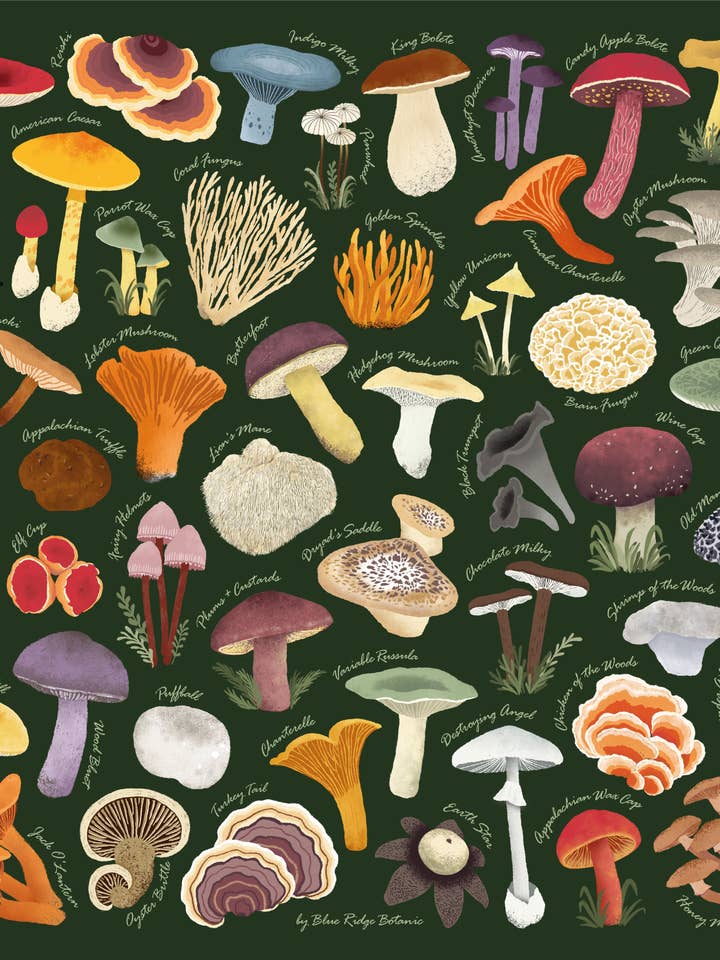 Field Guide Bandana to Appalachian Mushrooms for wholesale by Blue Ridge Botanic