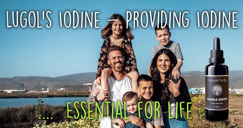 Ancient Purity – wholesale Oral supplement/vitamin – Lugol's Iodine - 50ml Original Formula | High Strength Safe3