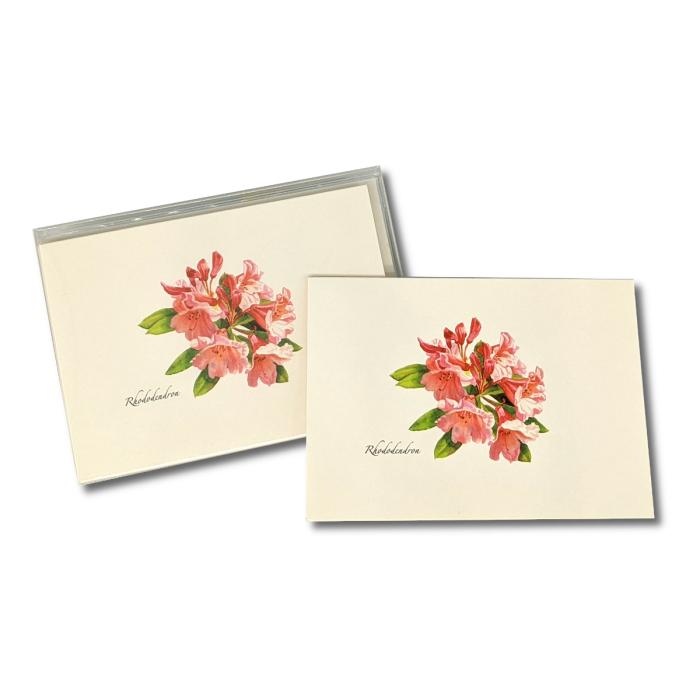 Earth Sky + Water - Wholesale Stationery/Notecard Set - Rhododendron2