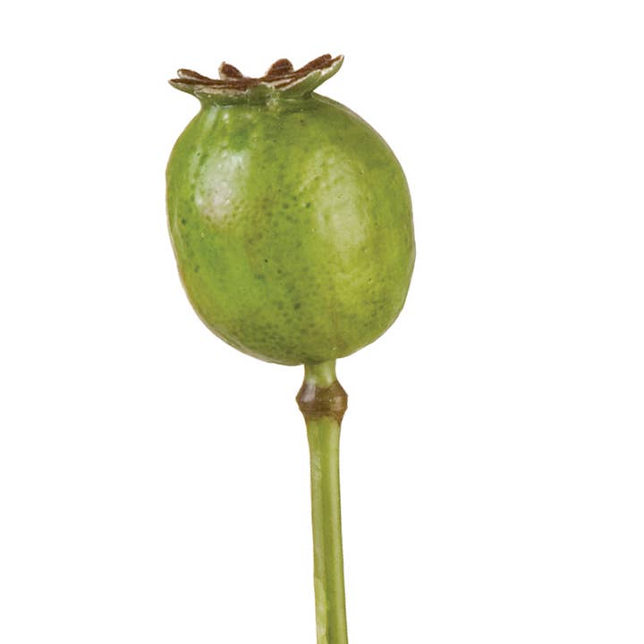 American Best - Wholesale Artificial Flowers - 19.5" LARGE POPPY POD