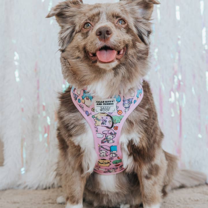 SASSY WOOF - Wholesale Pet Harness - Dog - Dog Adjustable Harness - Hello Kitty® & Friends Flower Festival6
