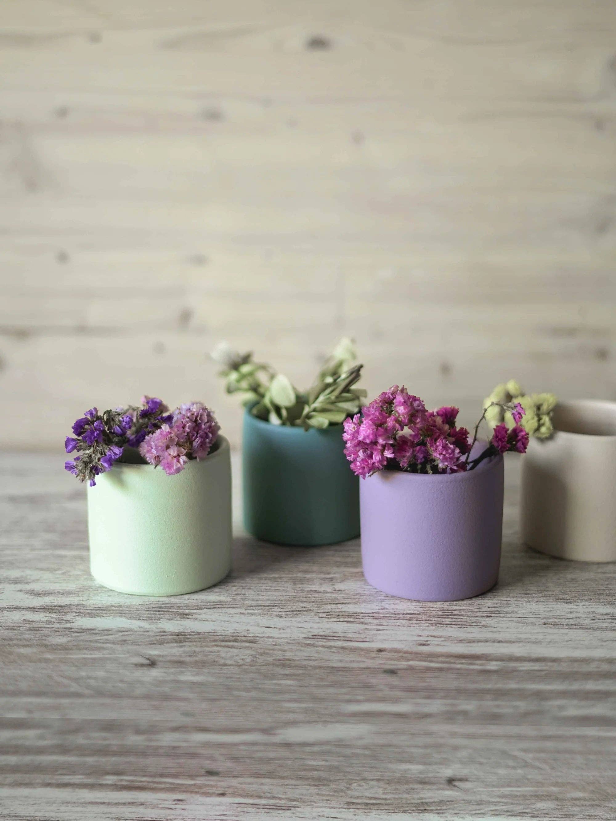 CerAmor Cerâmica - Wholesale Plantenpot - Potten voor cactussen0