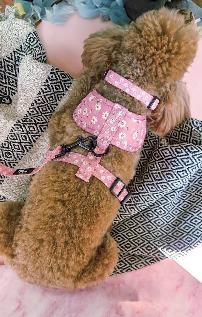 Pet Pooch Boutique - Wholesale Pet harness – Dog - Dusky Pink Daisies Floral Puppy Dog Harness8