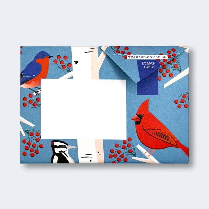 pigeonposted - Wholesale Stationery/Notecard Set - Carnival of Colour Pigeon letter pack