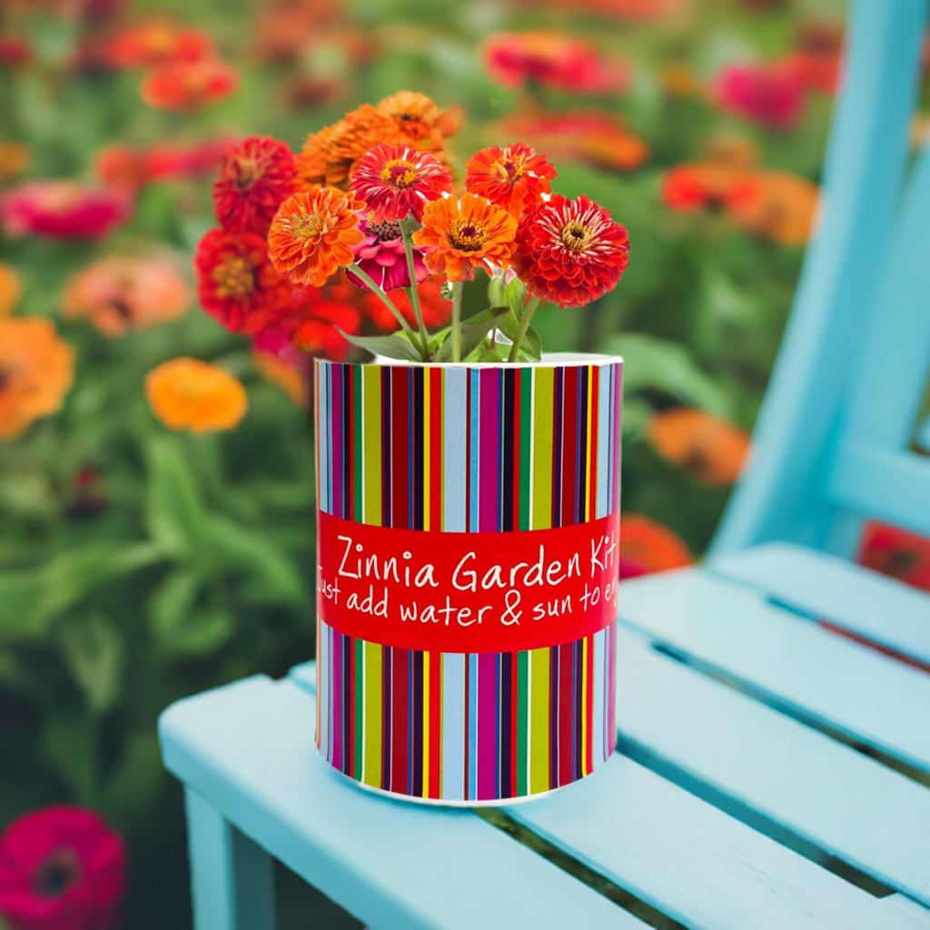 Gifts That Bloom - Wholesale Plant Seeds - Zinnia Garden Grocan Seed Kit1
