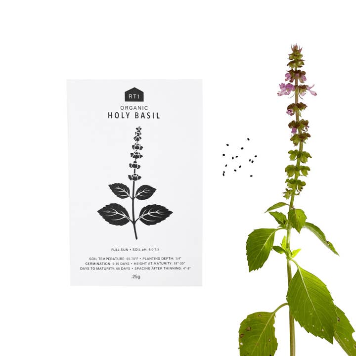 RT1home - Wholesale Plant Seeds - MEDICINAL HERB SEEDS - PACK OF 5