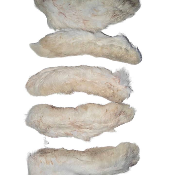 Rocky's Famous Treats - Wholesale Pet Treats - Dog - Rabbit Feet Dog Chews