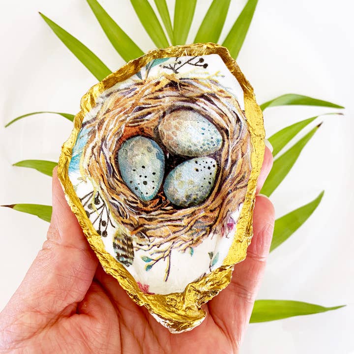 Adori Designs - Wholesale Jewelry Dish - Robin's Egg Decoupage Oyster Shell Trinket Ring Dish