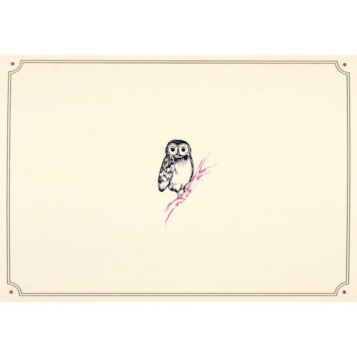Peter Pauper Press - Wholesale Stationery/Notecard Set - Owl Portrait Note Cards