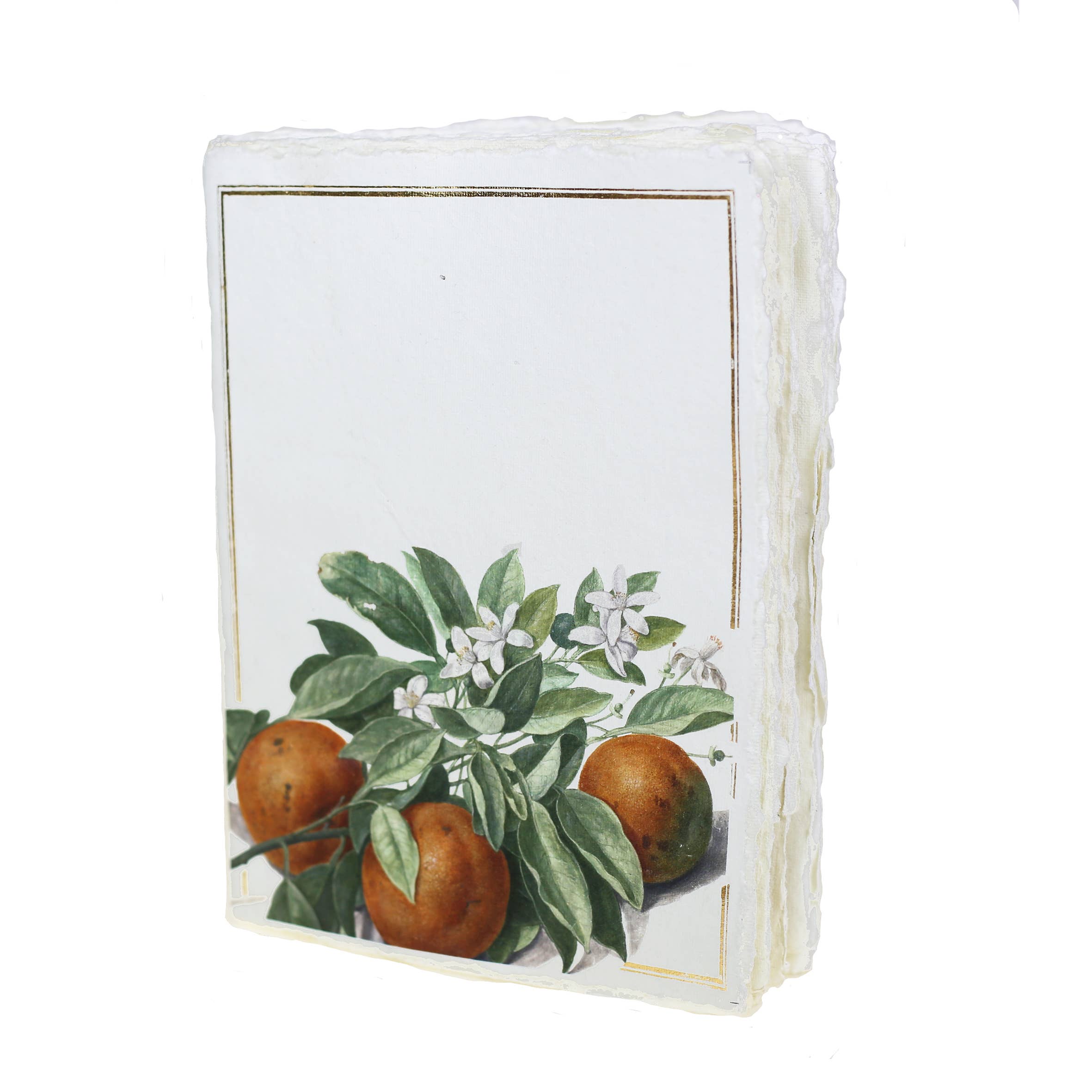 Epigram - Wholesale Notebook - Parchment paper notebook with orange pattern (Nassau)0
