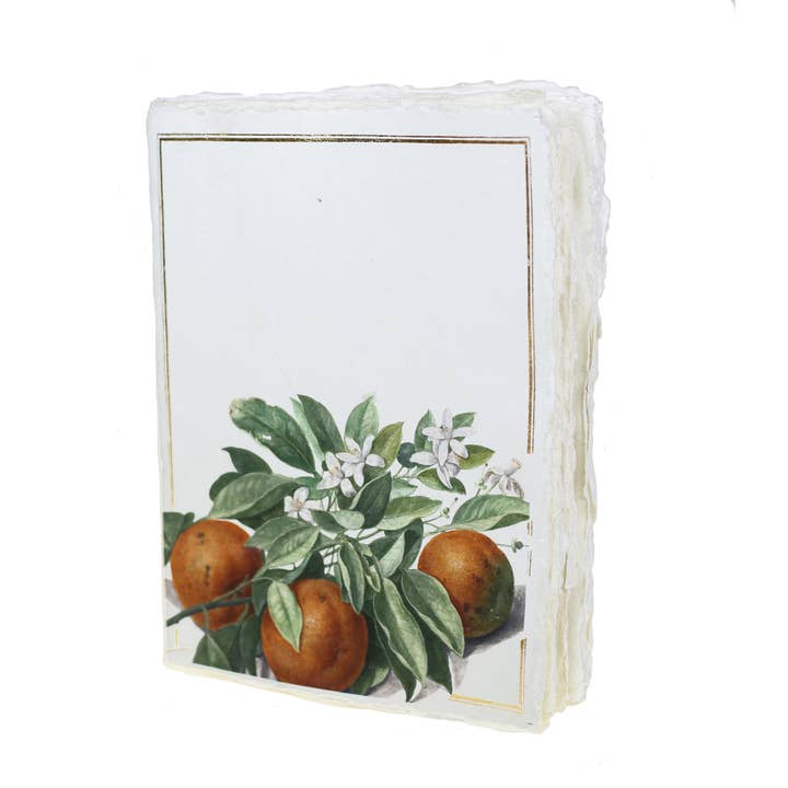 Epigram - Wholesale Notebook - Parchment paper notebook with orange pattern (Nassau)