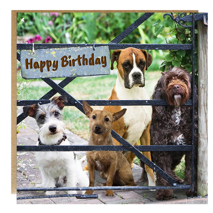 Biglietto di compleanno per cani - Buon compleanno cane per la vendita all'ingrosso da parte di Alex Sharp