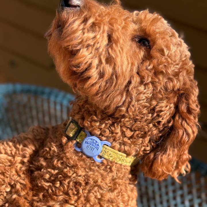 Besties Pets - Wholesale Pet Identification Tag - Cat/Dog - Slim Slide-On Silicone Pet ID Tag | Classic Name5