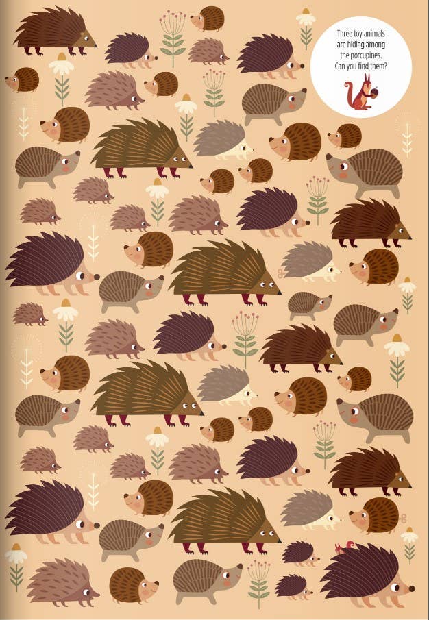 Wellspring - Vendita all'ingrosso Libro da colorare e attività - Bambini e neonati - Libro di attività - Trova Bernard! Avventure nella foresta2