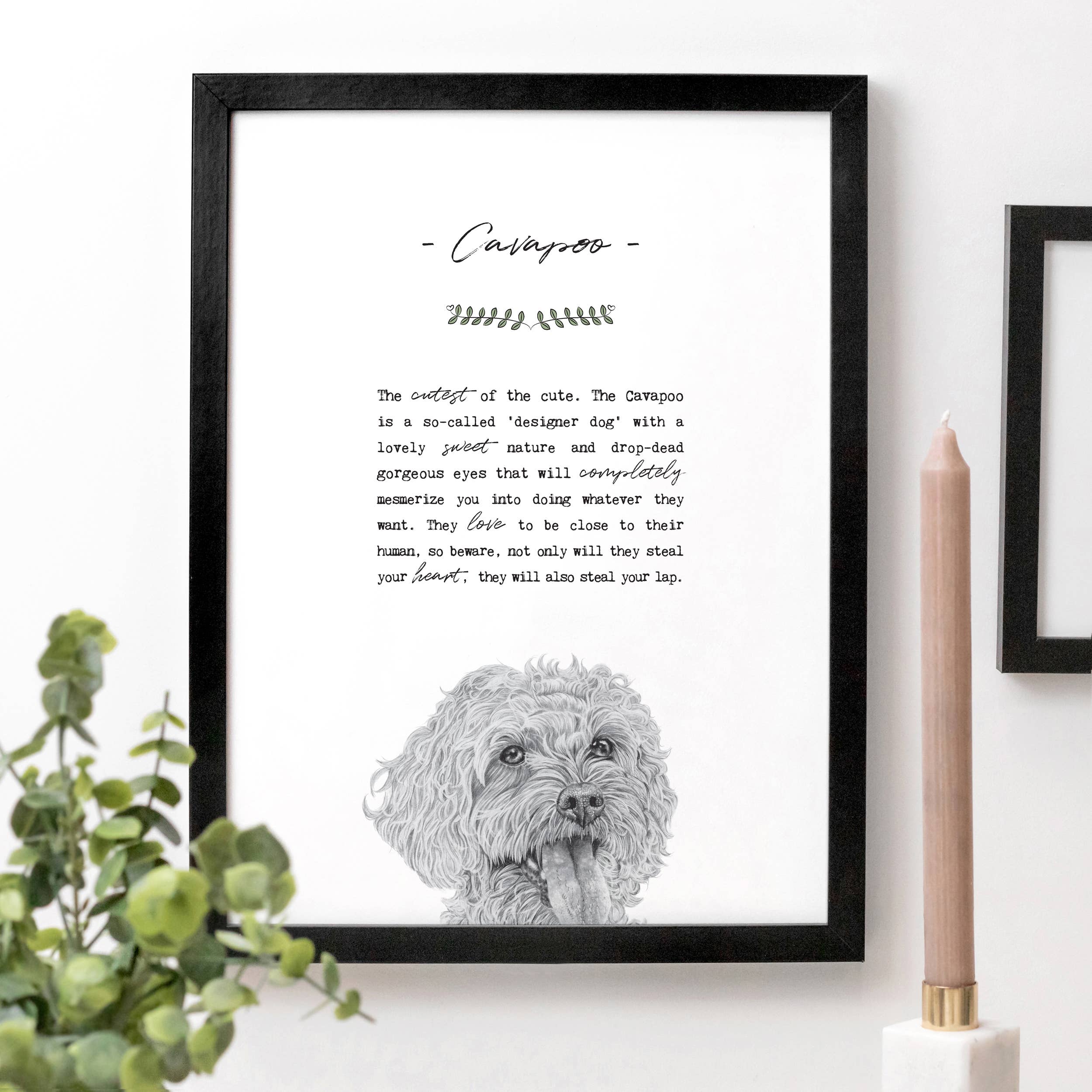 Coulson Macleod (U.S. Duties Paid) - Wholesale Art Print - Best-Selling 'Pooch' Dog Prints with Wooden Display Box7