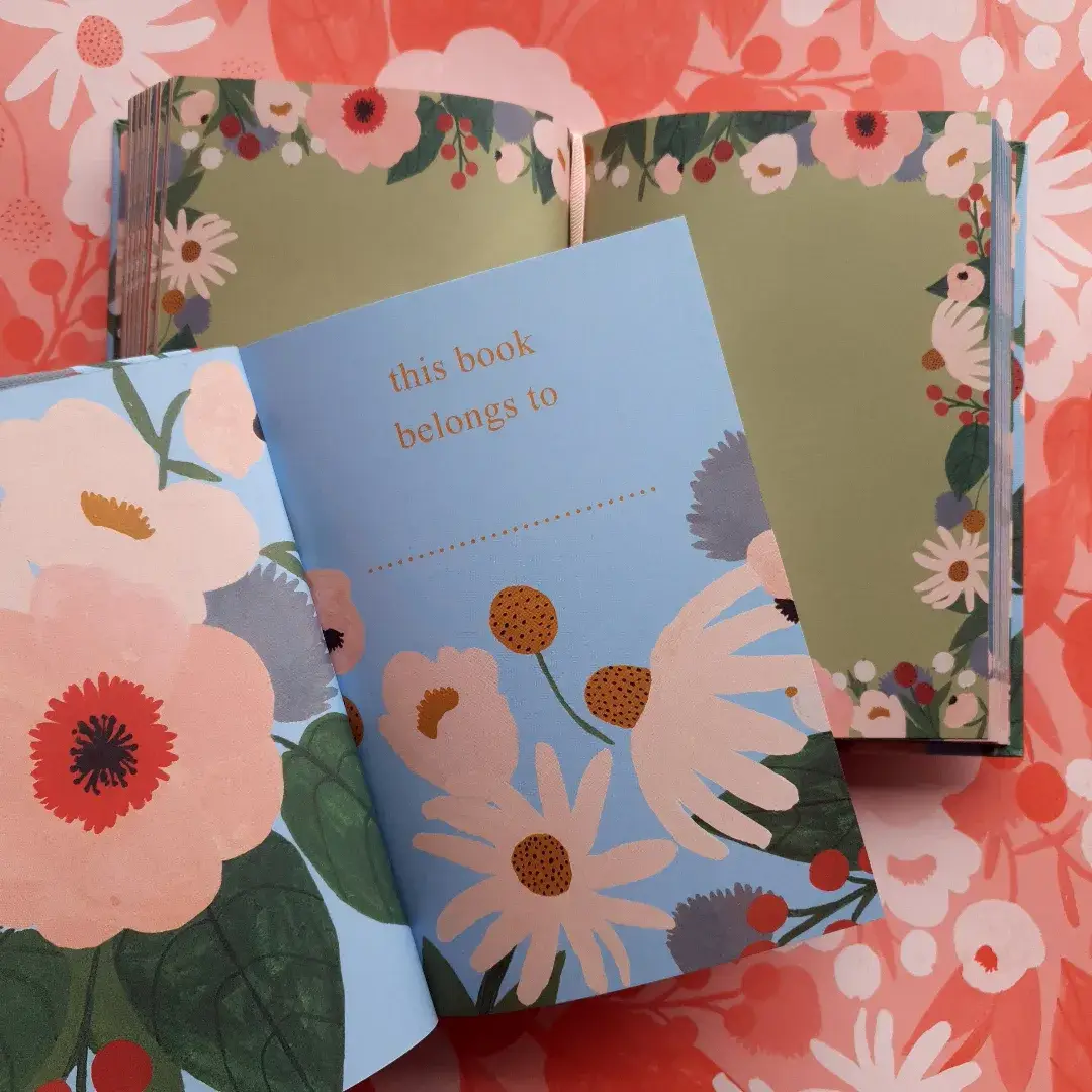 Roger La Borde - Wholesale Journal/Diary - Big Pink Illustrated Journal  - AS 0563