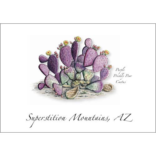 Purple Prickly Pear Cactus for wholesale by Earth Sky + Water
