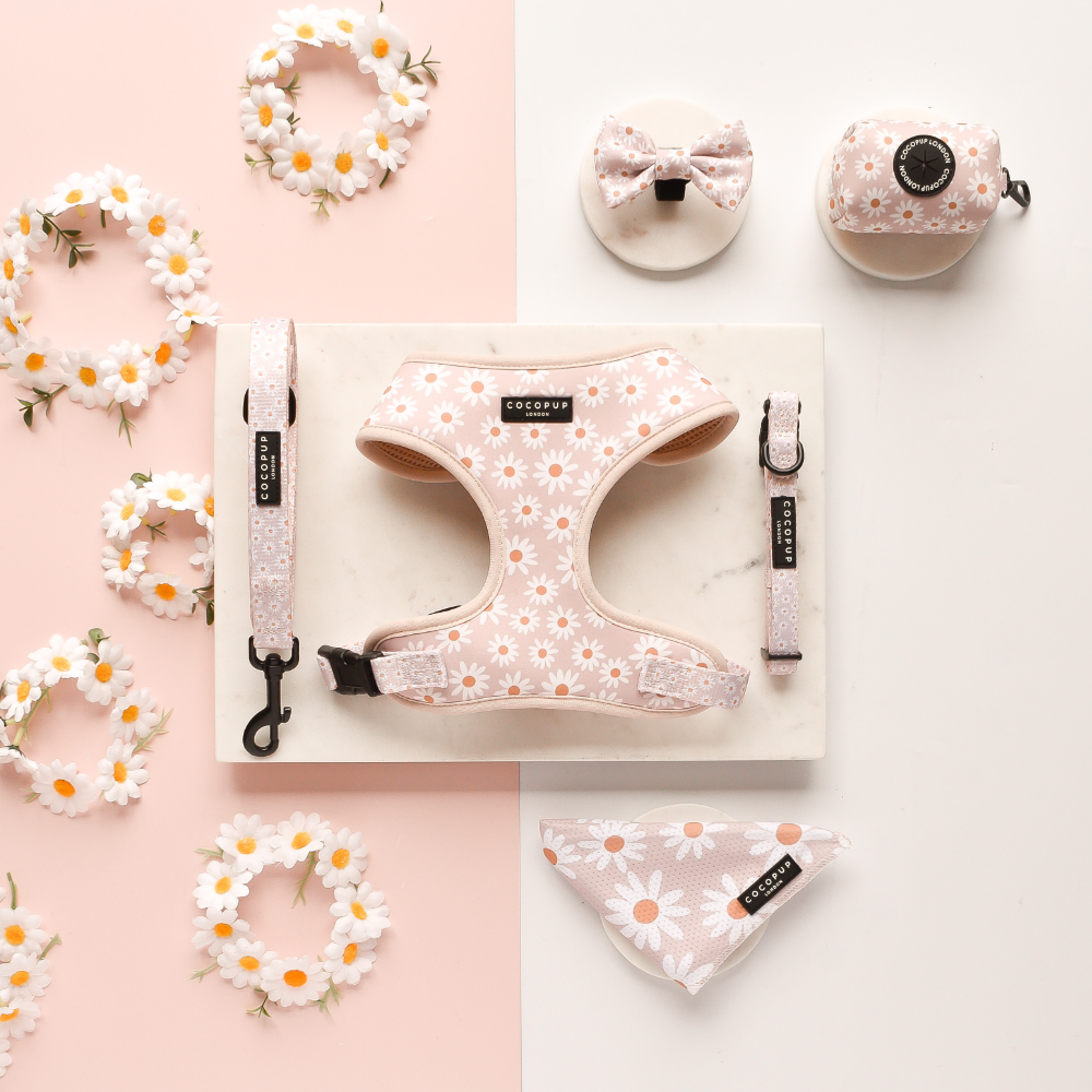 Cocopup London – wholesale Pet collar – Dog – Daisy Chain Collar1