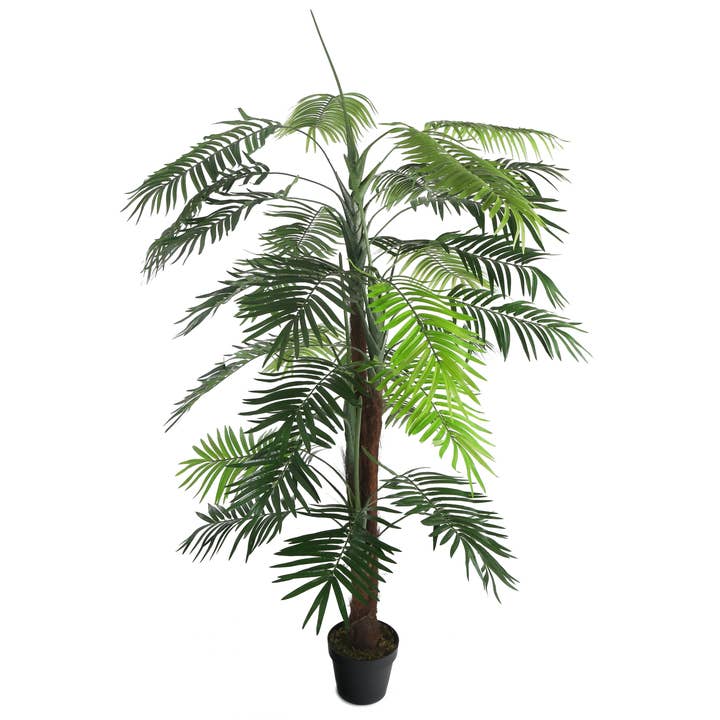 Closer2Nature - Venta al por mayor Plantas artificiales - Palmera Kentia artificial de 5 pies
