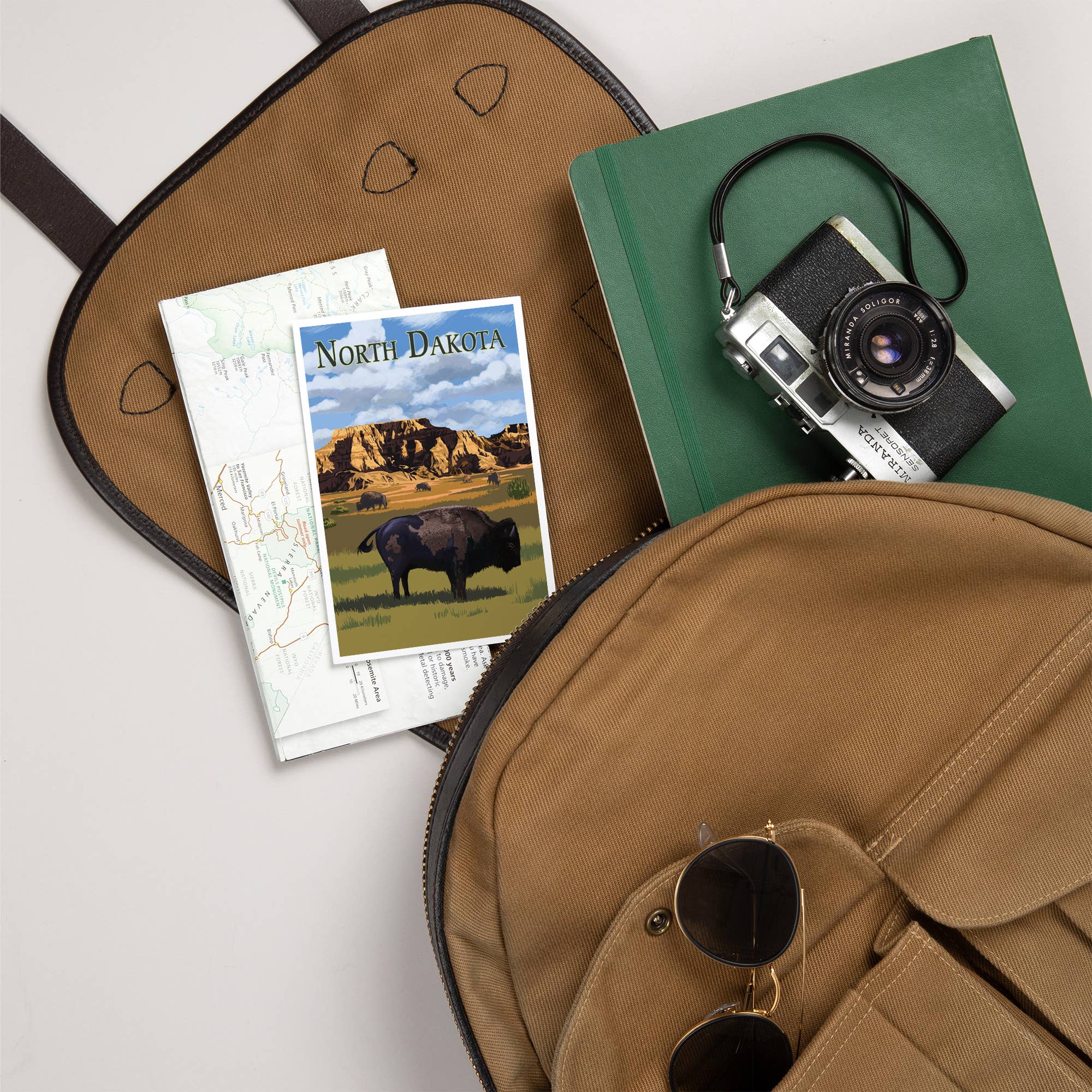 Lantern Press - Wholesale Postcard - PREMIUM POSTCARDS North Dakota, Bison5