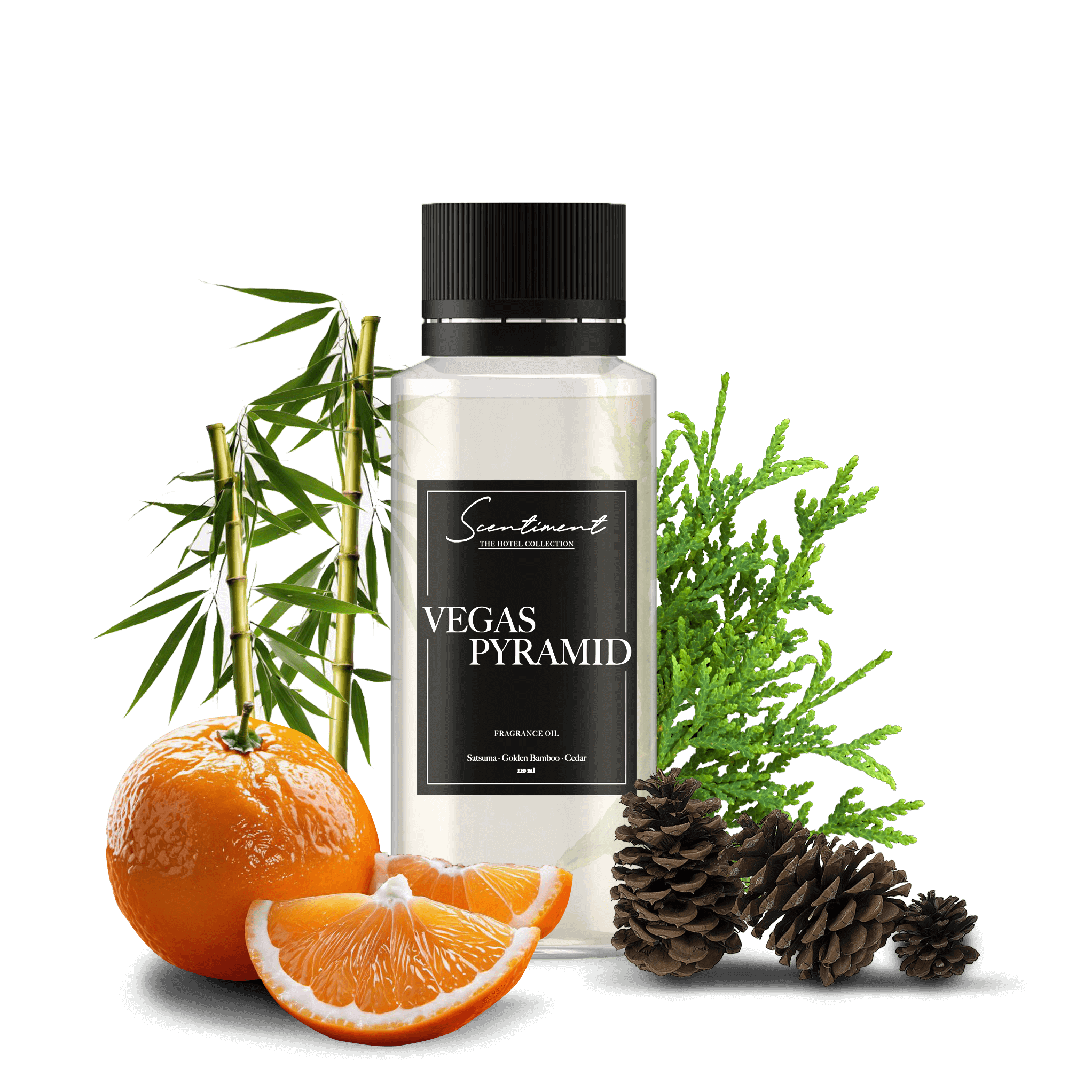Scentiment - Wholesale Fragrance Oil - Vegas Pyramid4