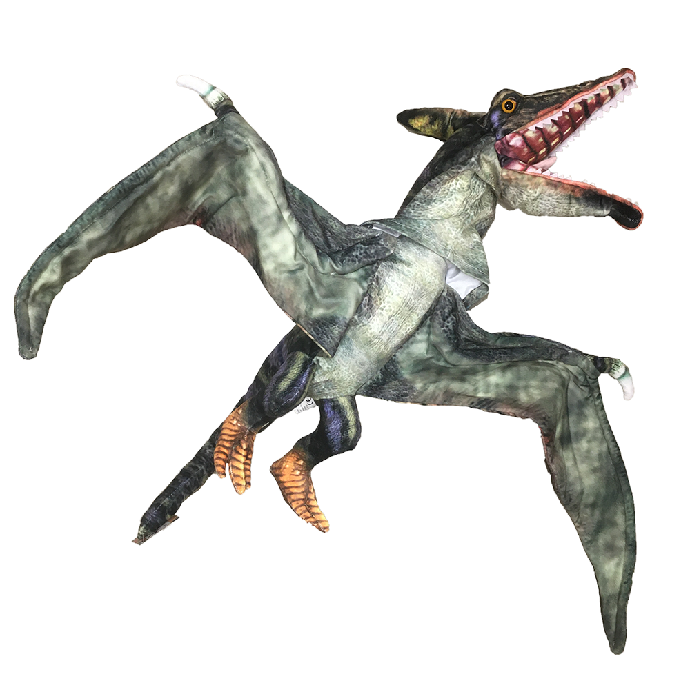 Texas Toy Distribution - Vendita all'ingrosso Peluche - Bambini e neonati - Pterosaur, pupazzo di peluche a forma di dinosauro, 10,2 cm2