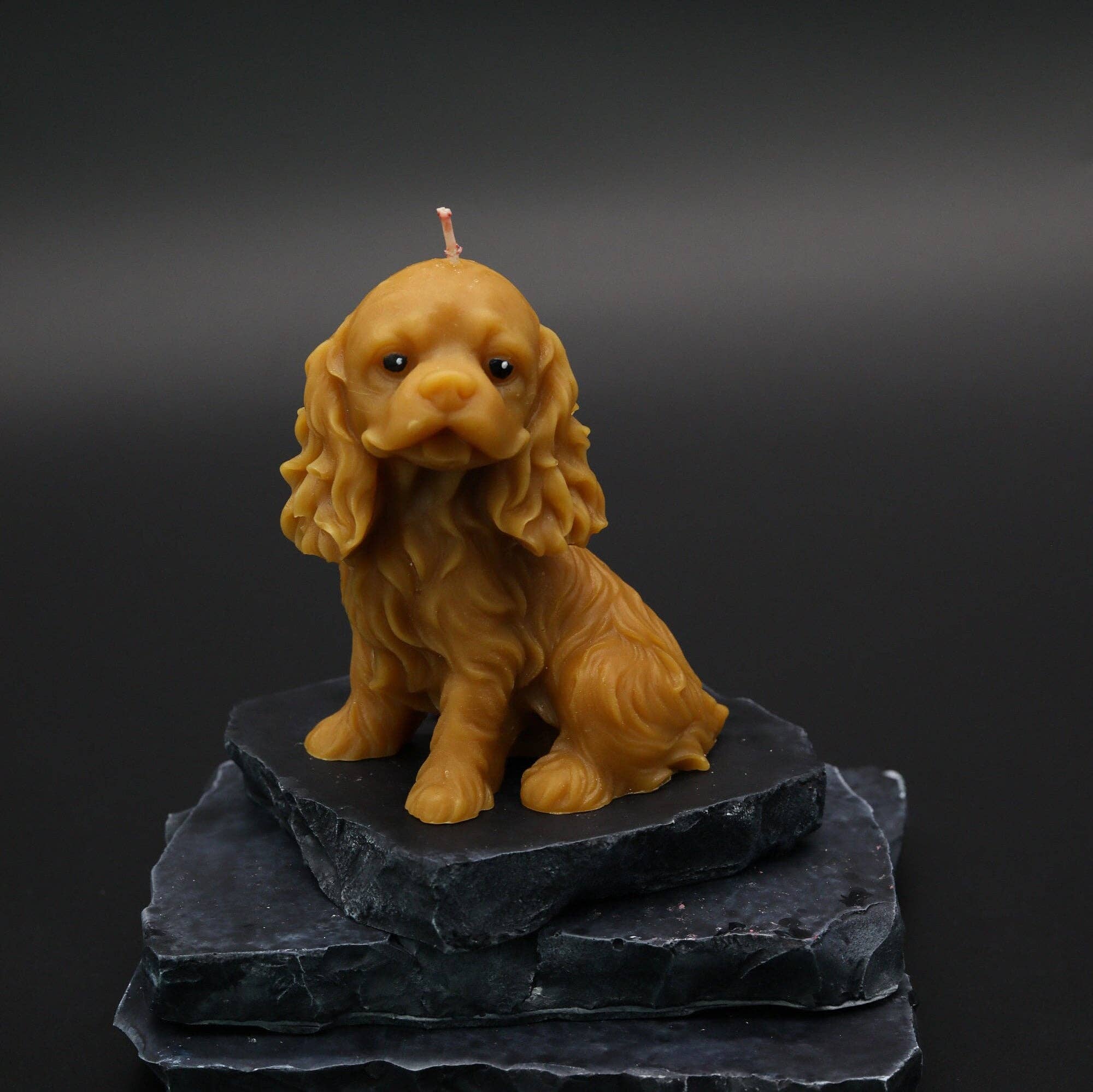 Inara New York - Wholesale Grappige kaars - Cocker Spaniël | Ierse setter hond Kaars1