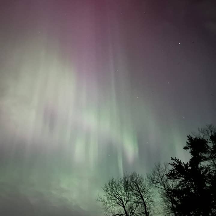 Hummingbird Yarn Company - Wholesale Yarn - MN Northern Lights
