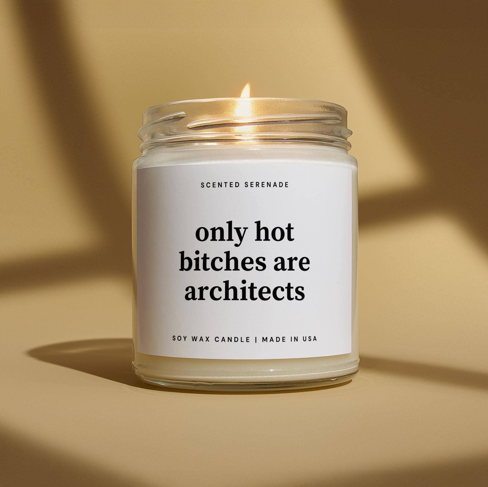 Scented Serenade - Wholesale Jar/Filled Candle - Hot Bitches are Architects Funny Candle Gift0