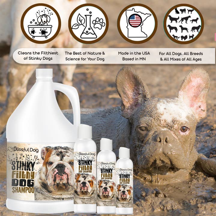 The Blissful Dog – Großhandel Haustiershampoo – Hund – Stinky Filthy Hundeshampoo für schmutzige Hunde Gallone