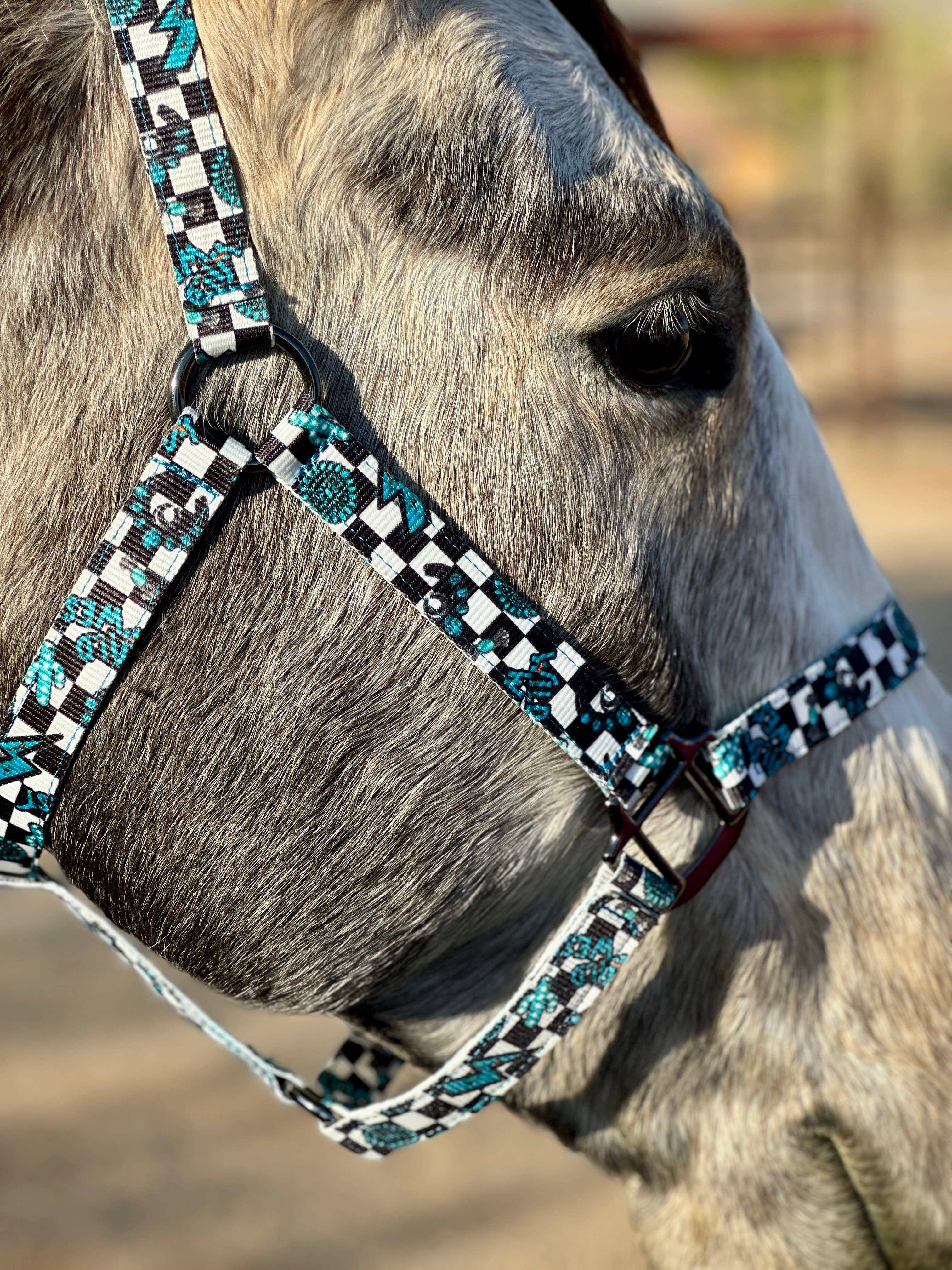 Schulz Equine - Wholesale Horseback Riding Gear - Nylon Halter - Horse Size25