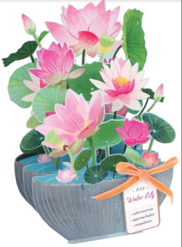 Up With Paper - Wholesale Everyday Greeting Card - Water Lily Pop-up Flower Card with Ribbon Embellishment2